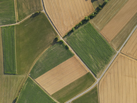 View from above of ripe crop fields and green grass fields in the countryside