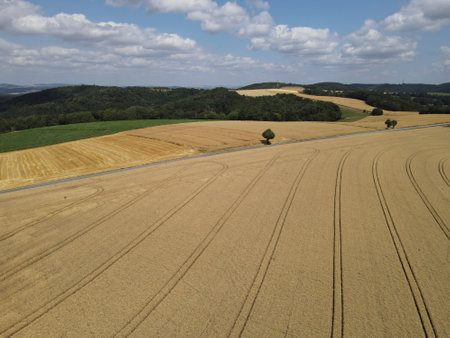 Countryside from above with ripe crop fields, green corn fields, forest trees and a blue sky with white clouds in summerの写真素材