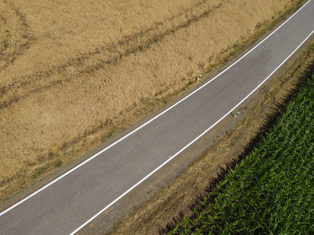 Aerial view of a rural road between a crop field and a corn field in the landscapeの写真素材