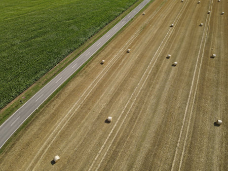 Aerial view of a landscape with hay bales, asphalt road and a corn fieldの写真素材