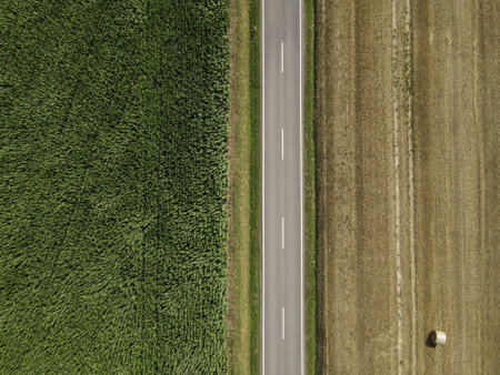 Drone view of a road between agriculture fields in the landscapeの写真素材