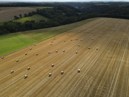Aerial view of hay bales on the field in the landscape