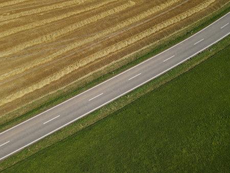 View from above of a rural road between fields in the landscapeの写真素材
