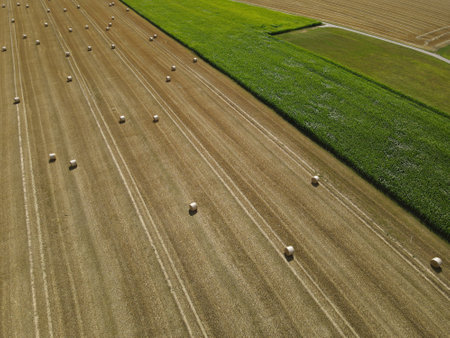 View from above of agriculture fields in the countryside with hay bales and green cornの写真素材