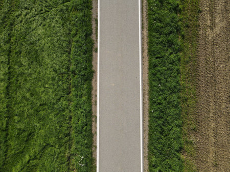 Road between grass in the landscape