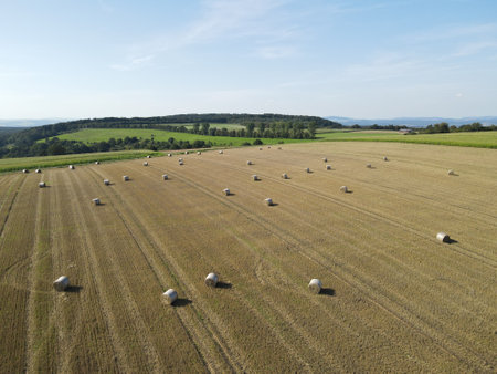 Hay bales on the field in the countrysideの写真素材