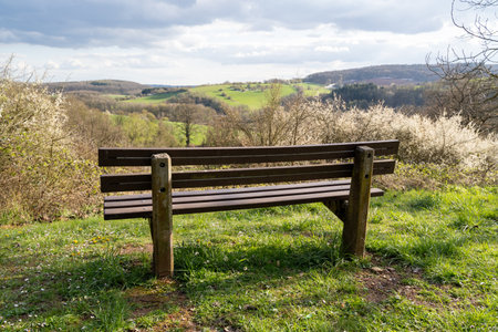 Wooden bench on the hill with a view of the beautiful landscape in springの写真素材