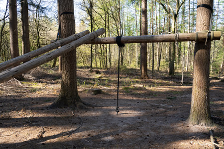 Wooden swing in the forest on a sunny spring or summer dayの写真素材