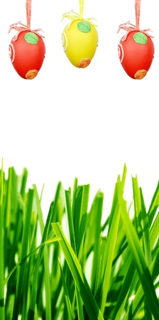 Easter eggs and green grass isolated on white backgroundの写真素材