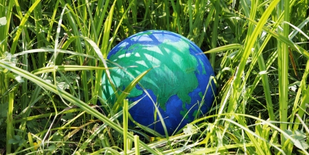 Environment concept, globe in the grassの写真素材