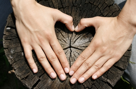 Heart shape in the woodの写真素材