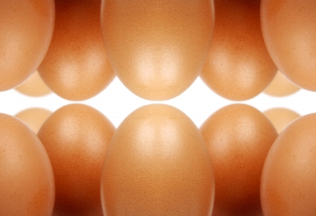 Many eggsの写真素材