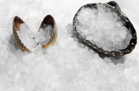 Sea salt and shells