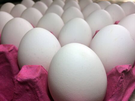 sequential white eggs on cardboard M