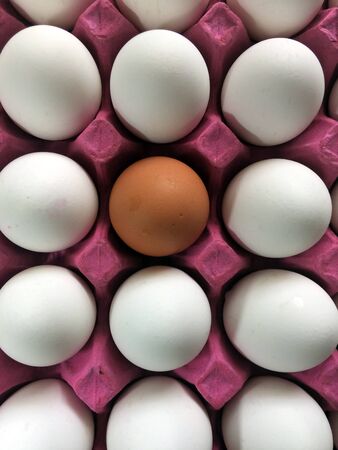 a parcel egg inside the egg a different color Mの写真素材