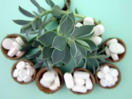 medicine herb. Herbal pills with healthy medical plant. Green leaf, alternative drug. Natural...