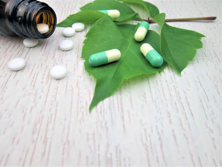 medicine plant. Herbal pills with healthy medicinal plant. Green leaf, alternative medicine. Natural...