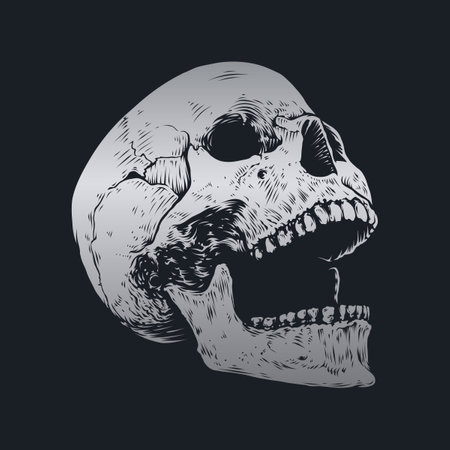 Skull and bones vector design. Editable, resizable, EPS 10, vector illustration.&#xD;&#xA;のイラスト素材