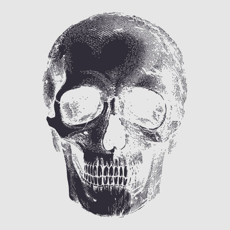 Skull and bones vector design. Editable, resizable, EPS 10, vector illustration.&#xD;&#xA;のイラスト素材