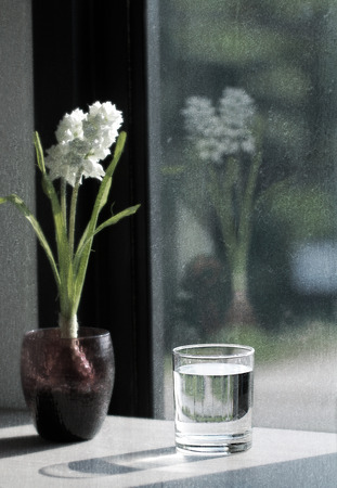 water with decorate flower,grunge textureの写真素材
