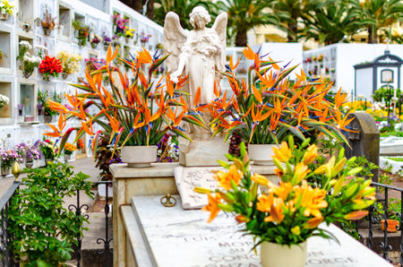 The cemetery of San Carlos in Puerto de la Cruz was established in 1810.のeditorial素材