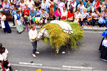 Everywhere in Tenerife these folk festivals are celebrated with music and dance. In the regional costume, with decorated wagons pulled by oxen, people move through the village.のeditorial素材
