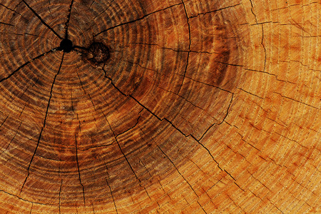 wood texture