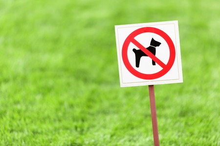 Sign No walking dog on the lawn of green grass.の写真素材