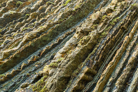 Background of teeth of rocks on the coast of Black sea.の写真素材