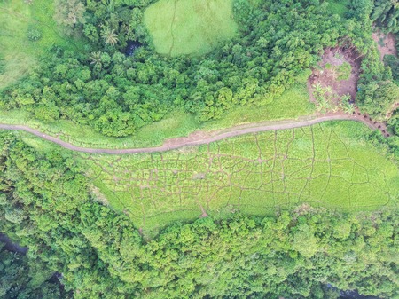 Aerial view of artist's trail of Ubud.の写真素材