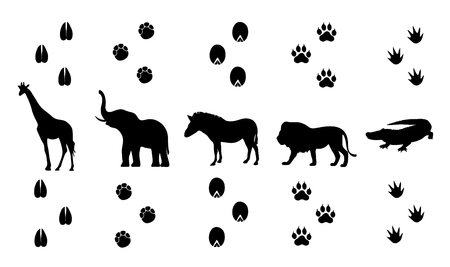 Vector set of walking safari animal tracksのイラスト素材