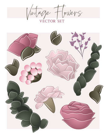 vintage floral set with different flowers and foliageのイラスト素材