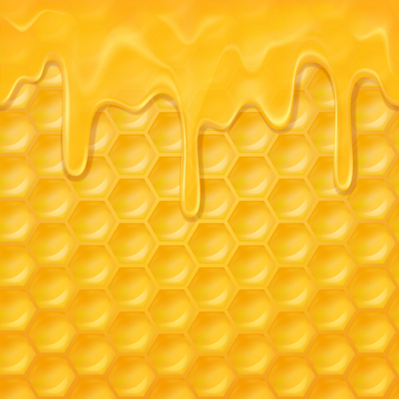 Horizontal seamless pattern with honeycombのイラスト素材