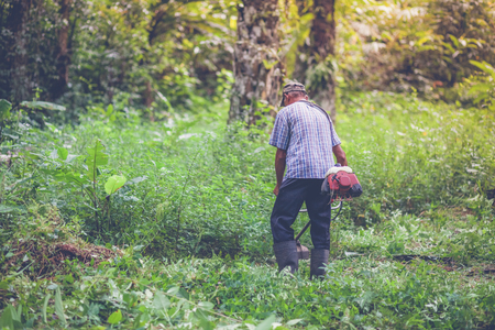Farmers are mowing, Use a lawn mower.の写真素材