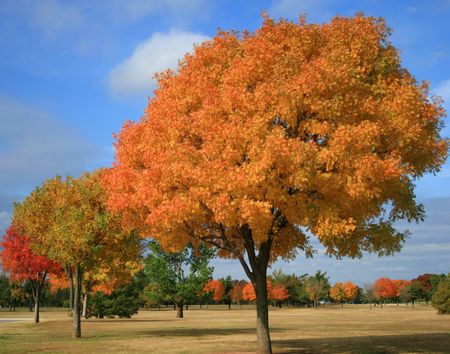 A beautiful Fall Day in Oklahoma