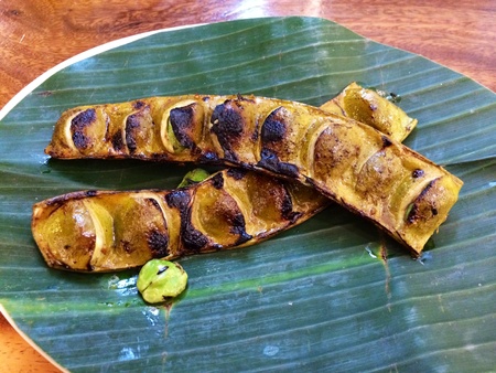 Indonesian grilled beansの素材