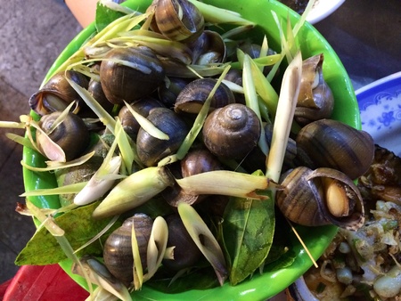 Snails cooked with basil and lemongrassの素材
