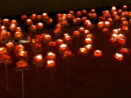 Romantic pink roses light decorationの素材