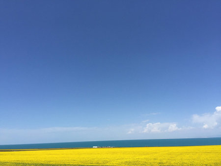 Qinghai Lakeの写真素材