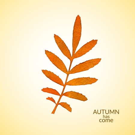Autumn watercolor rowan leaf, isolated vector illustrationのイラスト素材