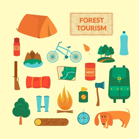 Camping equipment, forest tourism, vector colorful icons set in flat styleのイラスト素材