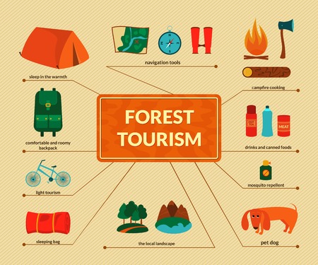 Camping equipment, forest tourism, vector colorful infographics in flat styleのイラスト素材