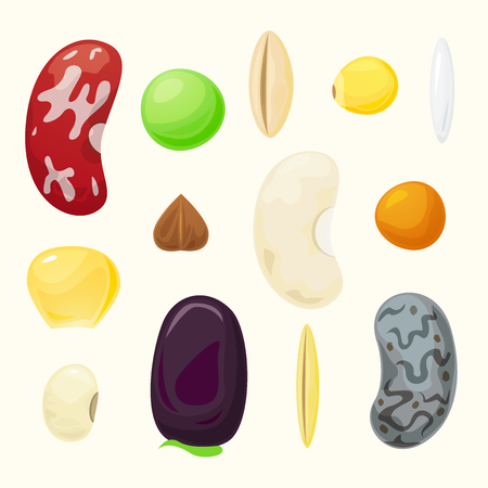 Set grains of different plants, raw materials for cereal, vector setのイラスト素材