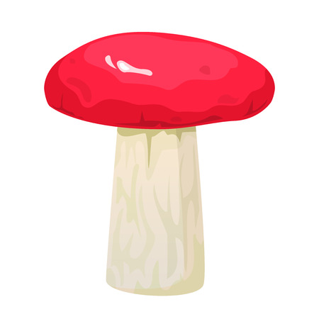 Russula edible mushroom, vector illustrationのイラスト素材