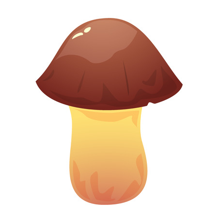 Suillus edible mushroom, vector illustrationのイラスト素材