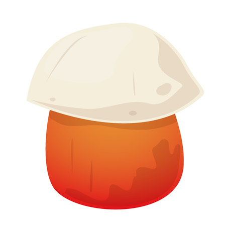 Rubroboletus poisonous mushroomの写真素材