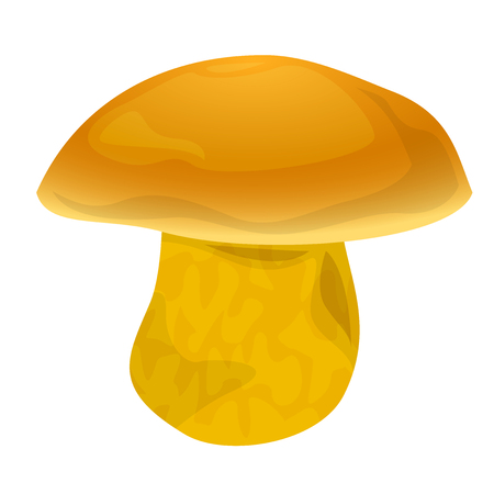Tylopilus mushroom, vector illustrationの写真素材