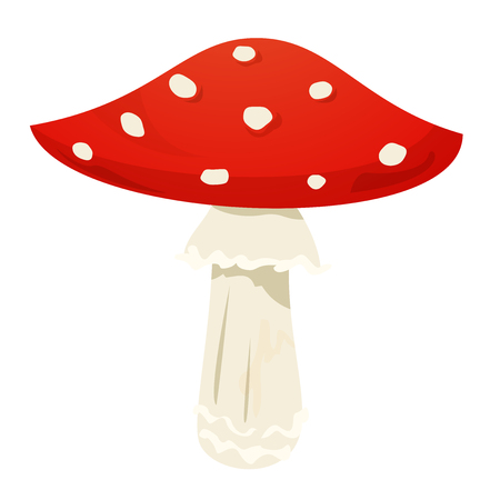 Amanita mushroom, vector illustrationの写真素材