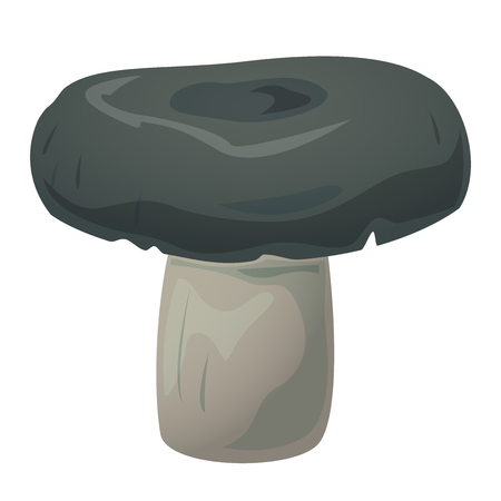 Lactarius edible mushroom, vector illustrationの写真素材