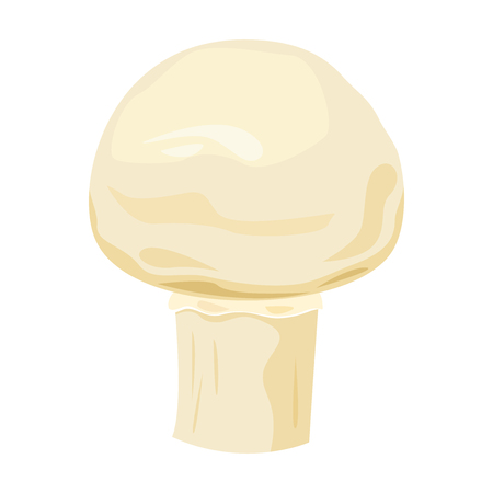 Champignon edible mushroom, vector illustrationの写真素材